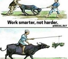 Work smarter