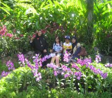 In Singapore Botanical garden